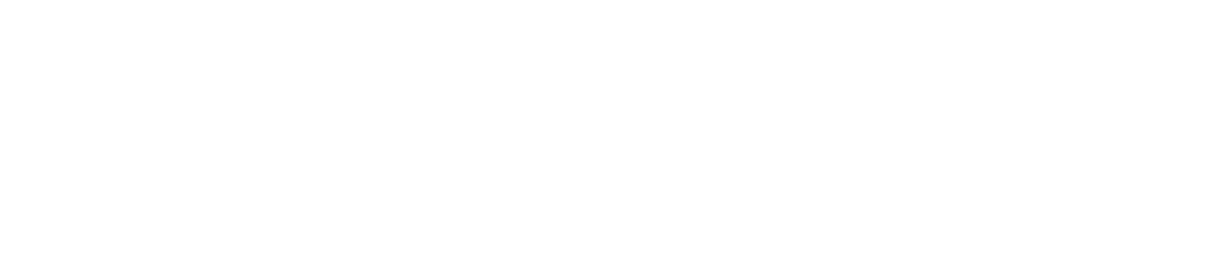 Austral bricks